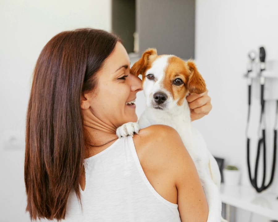 Rice Lake Animal Hospital in Bailieboro