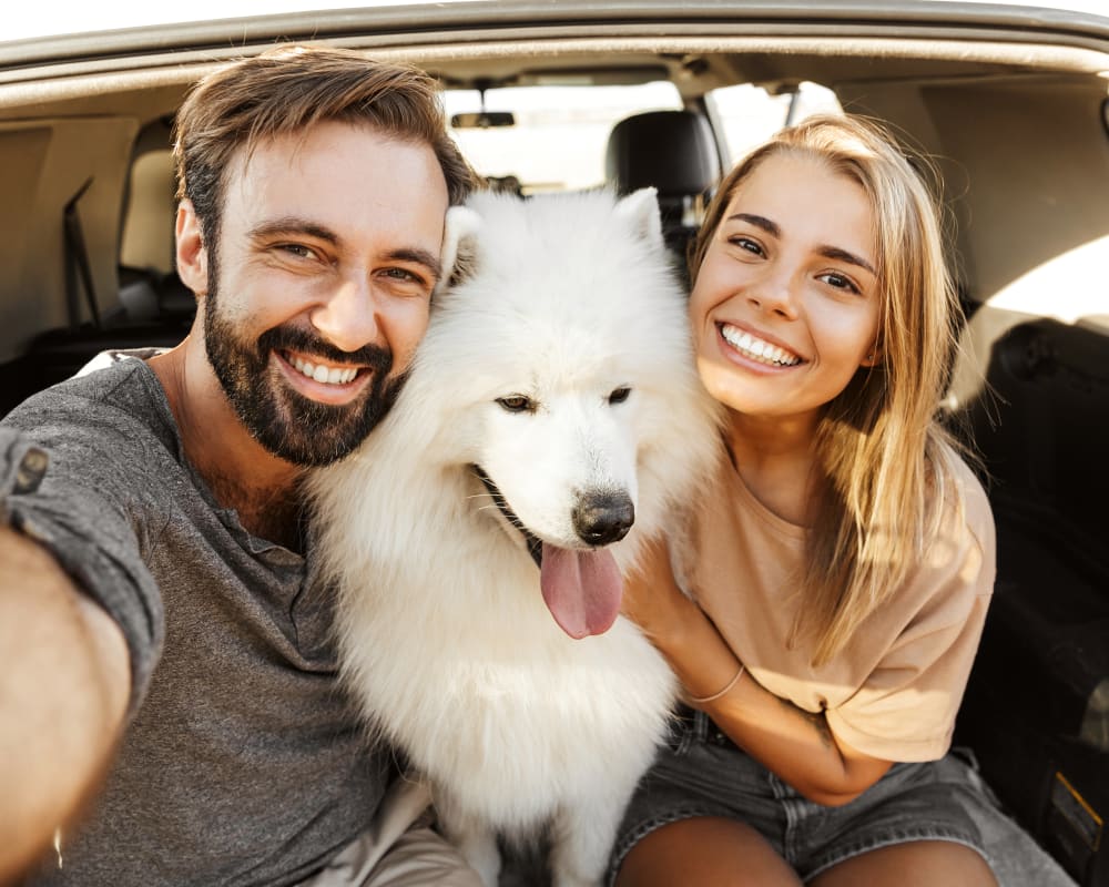 Rice Lake Animal Hospital | Bailieboro Speciality & Emergency Vet